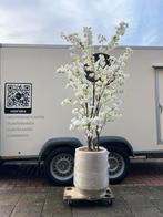 Nieuw! Kunstplant bloesemboom in pot Mineral Harrith, Ophalen of Verzenden, Nieuw, Binnen