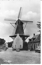 Sluis   Molen., Ophalen of Verzenden, 1960 tot 1980, Ongelopen, Zeeland