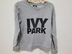 Grijze trui Ivy Park maat S, Kleding | Dames, Gedragen, Grijs, Ophalen of Verzenden, Maat 36 (S)