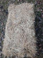 Te koop aangeboden kleine pakjes hooi, Ophalen, Vee