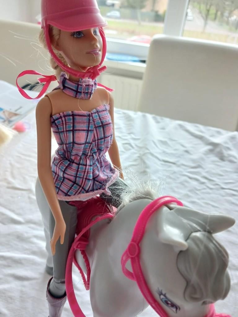 Barbie amazone met 2 paardjes, Ophalen of Verzenden, Zo goed als nieuw, Barbie