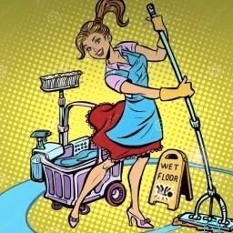 Huishoudelijke hulp aangeboden, Vacatures, Vacatures | Schoonmaak en Facilitaire diensten, Overige vormen