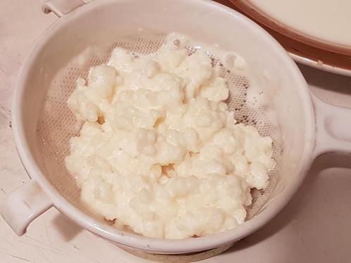 Melkkefir korrels op biologische melk - Kefir - 25gr, Diversen, Levensmiddelen, Ophalen