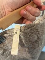 Nieuwe Mariposa A-lijn rok - Maat 38, Kleding | Dames, Ophalen of Verzenden, Nieuw