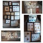 Unieke verzameling opgezette insecten, taxidermie, Verzamelen, Ophalen, Zo goed als nieuw, Insect, Opgezet dier