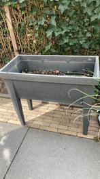 Tuinbak - groentenkas- groentenbak, Ophalen, Zo goed als nieuw, Kunststof, Overige typen