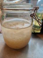 Waterkefir korrels, Diversen, Levensmiddelen, Ophalen of Verzenden