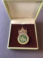 Efteling pin,,Grand Hotel,,, Ophalen of Verzenden, Nieuw, Button of Speldje