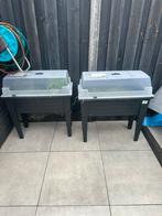 Mini Kweekbakken met Deksel 2x, Ophalen of Verzenden, Gebruikt, Plastic, Kweekkas