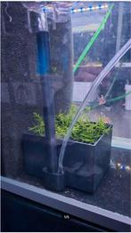Automatische egg catchers M of XL. GAMECHANGER!, Vis, Zoetwatervis