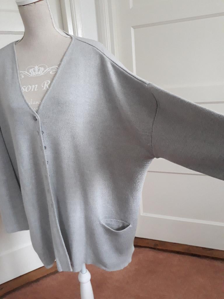 Mooi grijs vest, OLSEN wijd model    maat M, Kleding | Dames, Truien en Vesten, Maat 38/40 (M), Olsen, Verzenden, Zo goed als nieuw