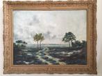 Antiek landschap olieverf schilderij., Ophalen, Zo goed als nieuw, Overige typen
