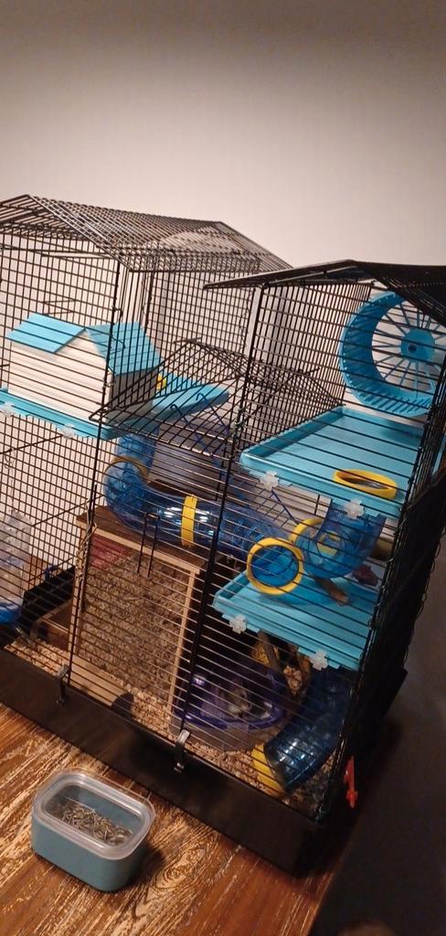 Hamster kooi/hok met toebehoren. Geschikt voor dwerghamster., Dieren en Toebehoren, Knaagdieren en Konijnen | Hokken en Kooien