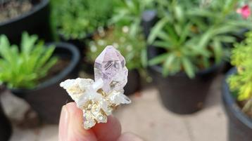RB565 Amethyst Mine de Vera Cruz Las Vigas de Ramirez Mexico beschikbaar voor biedingen