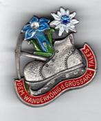 BROCHE WANDELSCHOEN EDELWEISS GROSSARLTAL SALZBURGERLAND OOS, Verzamelen, Zo goed als nieuw, Verzenden