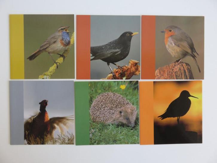 6 Vivara vogelbescherming dubbele vogel wenskaarten, Diversen, Wenskaarten, Zo goed als nieuw, Ophalen of Verzenden