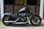 Harley-Davidson Iron Special 2013 geschikt A2 rijbewijs, 2 cilinders, Harley-Davidson, Chopper, Bedrijf
