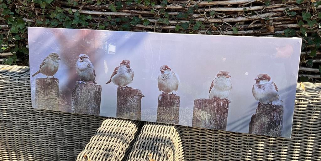 Wanddecoratie “sparrows” mussen - 2 stuks, Ophalen, Nieuw