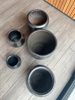 6 binnen bloempotten, Huis en Inrichting, Ophalen, In pot, Halfschaduw, Minder dan 100 cm