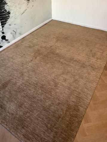 Brinker San Stefano wol 200/300 beschikbaar voor biedingen