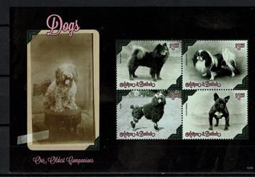 antigua pf blok hoden dogs zoogdieren 2 beschikbaar voor biedingen