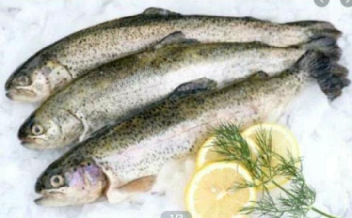 Verse regenboogforel / Zalmforel, Diversen, Levensmiddelen, Ophalen