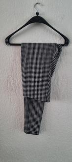 Dames tregging maat 36/38, Ophalen of Verzenden, Zo goed als nieuw, Zwart, Lang
