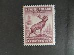 A19477: Newfoundland  5 c, Postzegels en Munten, Postzegels | Amerika, Ophalen
