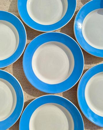 Vintage dinerborden met lavendelblauwe rand beschikbaar voor biedingen
