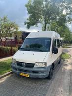 2003 Peugeot Boxer Camper, Overige merken, Buscamper of Camperbus, Tot en met 2, Particulier