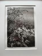 Lee Friedlander, Cherry Time in Japan 36/50, Ophalen of Verzenden