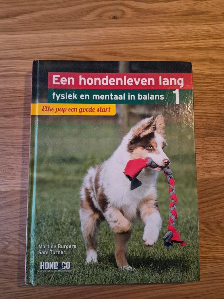 Een hondenleven lang - elke pup een goede start, Boeken, Dieren en Huisdieren, Gelezen, Honden, Ophalen of Verzenden
