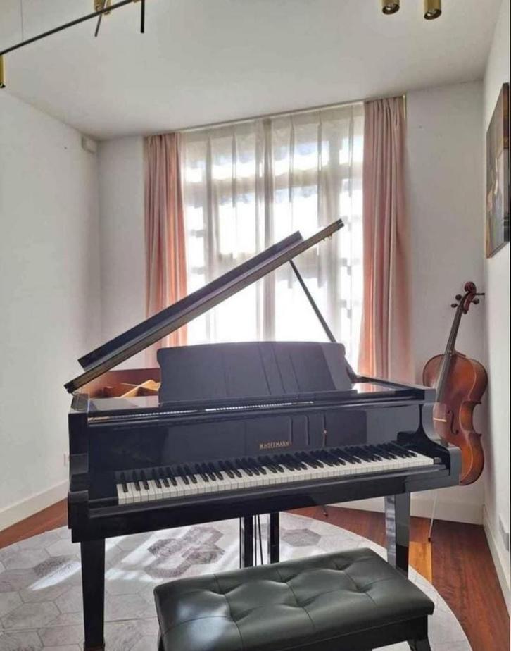 W. Hoffmann (C. Bechstein) Vleugel - Topconditie!, Muziek en Instrumenten, Piano's, Zo goed als nieuw, Vleugel, Zwart, Hoogglans