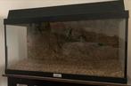 Juwel aquarium + filters + decoratie, Ophalen, Gebruikt, Leeg aquarium