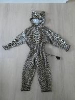 Carnavalspakje jachtluipaard, Ophalen, Gebruikt, 104 of kleiner, Jongen of Meisje