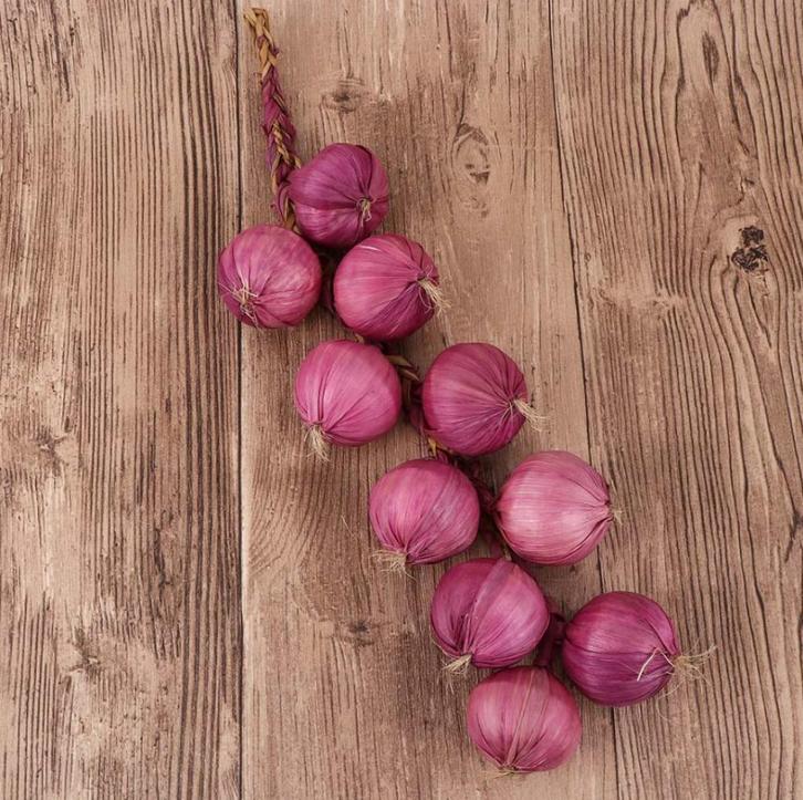 Kunst Rode Uien Op Draad Sier Nep Ui Keuken Groente Voedsel, Huis en Inrichting, Woonaccessoires | Overige, Nieuw, Verzenden