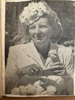 Krantenalbum Koninklijk Huis - Wilhelmina t/m Christina, Verzamelen, Ophalen, Gebruikt, Foto, Voor 1940