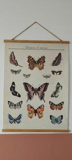 Schoolplaat/poster van vlinders en motten, Natuur en Biologie, Ophalen of Verzenden