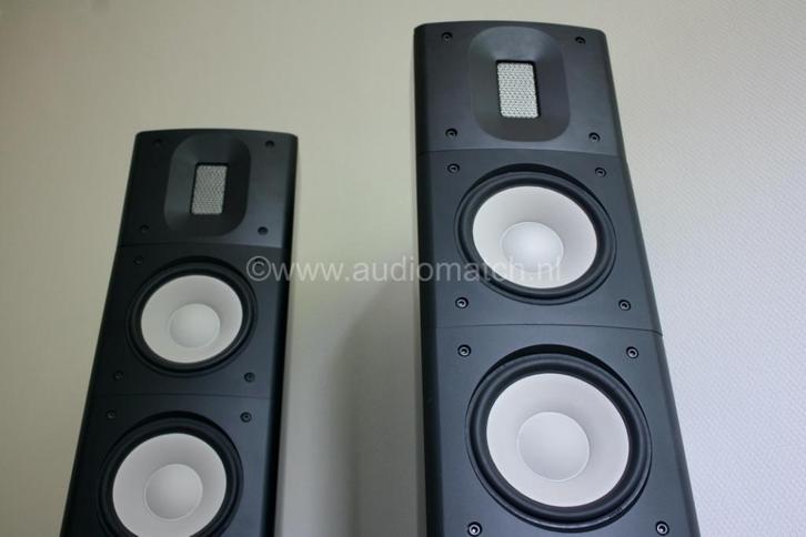 Raidho C2, Audio, Tv en Foto, Luidsprekers, Front, Rear of Stereo speakers, Overige merken, Ophalen