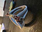 Rogz halsband (xs) + tug lijn, Ophalen, Zo goed als nieuw