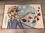 Echt nog als nieuw frozen vloerkleed, Kinderen en Baby's, Kinderkamer | Inrichting en Decoratie, Ophalen of Verzenden, Zo goed als nieuw