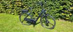 Gaint ease-e elektrische fiets maat L framemaat 56, Ophalen, Giant, Zo goed als nieuw, 50 km per accu of meer