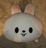 Kpop Stray kids Skzoo leebit baby cushion kussen lee know, Ophalen of Verzenden, Zo goed als nieuw, Gebruiksvoorwerp