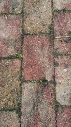 Gratis: ca 200-220 m2 straatstenen / tuintegels, Ophalen, Gebruikt, 10 m² of meer, Beton