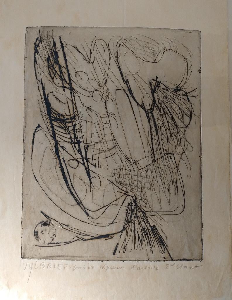 Ernst Vijlbrief, Antiek en Kunst, Kunst | Etsen en Gravures, Ophalen of Verzenden