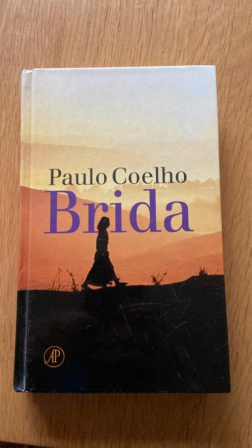 Paulo Coelho - Brida, Boeken, Literatuur, Zo goed als nieuw, Nederland, Verzenden