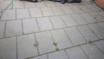 Gratis tuintegels 60x40cm, Tuin en Terras, Tegels en Klinkers, Ophalen, Gebruikt, Beton, Terrastegels