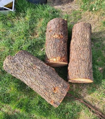 Brandhout haardhout stammen beschikbaar voor biedingen