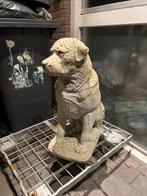 Betonnen Hond Tuinbeeld - 67cm Hoog, Tuin en Terras, Ophalen, Gebruikt, Beton, Dierenbeeld