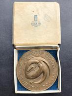 Koninklijke Begeer Watersnood penning 1960, Verzenden, Brons, Nederland